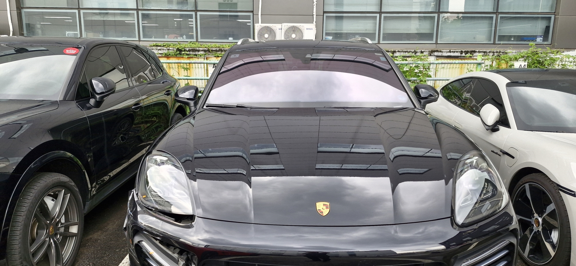 Cayenne Automatic